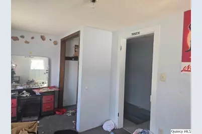 65 E 3rd Street, Dallas City, IL 62330 - Photo 16