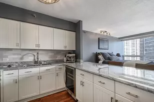 512 N McClurg Ct, Chicago, IL 60611 - Photo 10
