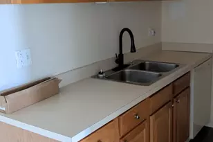 9 B E Dundee Quarter Dr, Palatine, IL 60074 - Photo 4