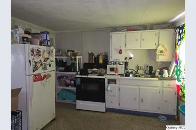 87 E 3rd Street, Dallas City, IL 62330 - Photo 2