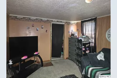87 E 3rd Street, Dallas City, IL 62330 - Photo 6