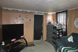87 E 3rd St, Dallas City, IL 62330 - Photo 6