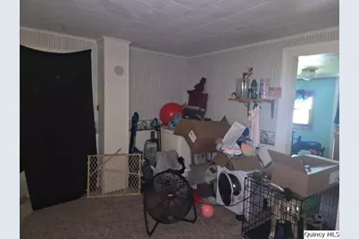 87 E 3rd Street, Dallas City, IL 62330 - Photo 8