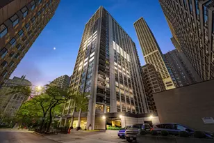 222 E Pearson St, Chicago, IL 60611 - Photo 18
