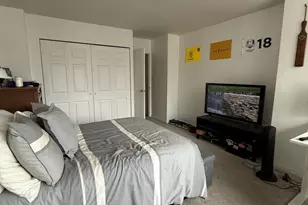 222 E Pearson St, Chicago, IL 60611 - Photo 10