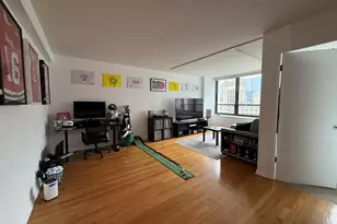 222 E Pearson St, Chicago, IL 60611 - Photo 6