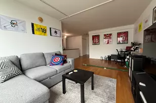 222 E Pearson St, Chicago, IL 60611 - Photo 2