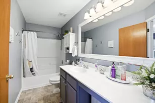 8412 Sawyer Ct, Joliet, IL 60431 - Photo 14