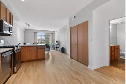 1250 S Indiana Avenue #502, Chicago, IL 60605 - Photo 4