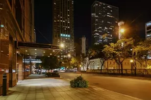 161 E Chicago Ave, Chicago, IL 60611 - Photo 16