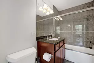 1069 W 14th Pl, Chicago, IL 60608 - Photo 16