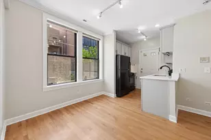 741 W Cornelia Ave, Chicago, IL 60657 - Photo 4