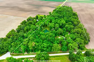 2701 E County Township Rd 121, Sheldon, IL 60966 - Photo 2