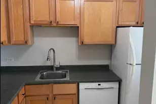 3930 N Pine Grove Ave, Chicago, IL 60613 - Photo 14