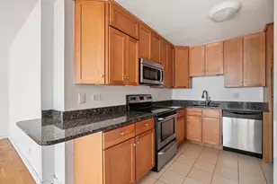 211 E Ohio St, Chicago, IL 60611 - Photo 6