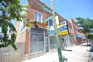 1032 N Ashland Ave, Chicago, IL 60622 - Photo 1