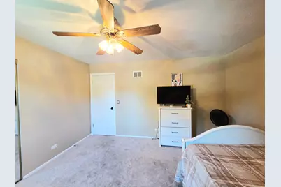 1294 Downing Street, Roselle, IL 60172 - Photo 28