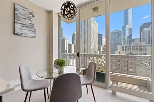 55 E Erie St, Chicago, IL 60611 - Photo 14