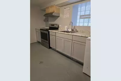 539 N Trumbull Avenue, Chicago, IL 60624 - Photo 10