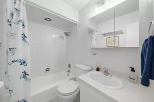 10162 Hiawatha Trail, Orland Park, IL 60462 - Photo 28