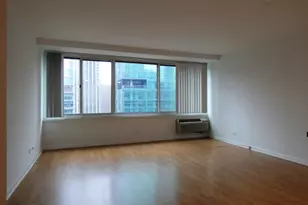 211 E Ohio St, Chicago, IL 60611 - Photo 8