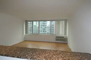 211 E Ohio St, Chicago, IL 60611 - Photo 12