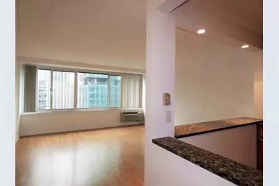 211 E Ohio Street #2719, Chicago, IL 60611 - Photo 10