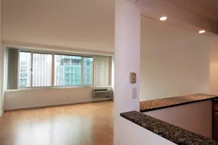 211 E Ohio St, Chicago, IL 60611 - Photo 10