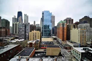 1 E Scott St, Chicago, IL 60610 - Photo 12