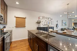 2040 W Belmont Ave, Chicago, IL 60618 - Photo 10
