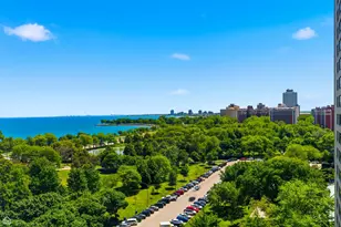 4950 S Chicago Beach Dr, Chicago, IL 60615 - Photo 14