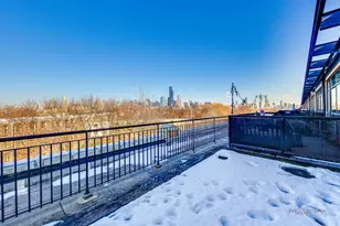 1151 W 14th Pl, Chicago, IL 60608 - Photo 34