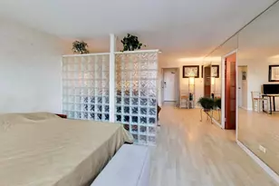 253 E Delaware Pl, Chicago, IL 60611 - Photo 16