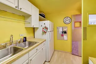 253 E Delaware Pl, Chicago, IL 60611 - Photo 14