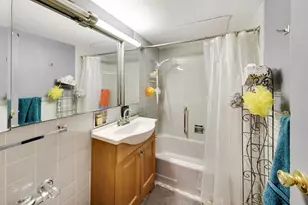 253 E Delaware Pl, Chicago, IL 60611 - Photo 18