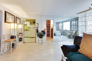 253 E Delaware Pl, Chicago, IL 60611 - Photo 10