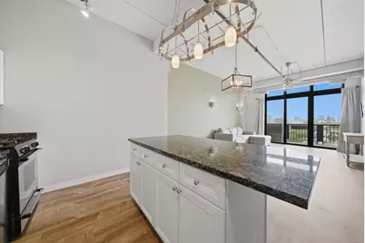 811 W 15th Place #807, Chicago, IL 60608 - Photo 18