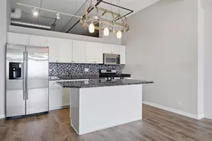 811 W 15th Pl, Chicago, IL 60608 - Photo 20