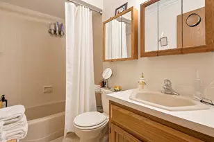 905 Shagbark Rd, New Lenox, IL 60451 - Photo 20