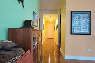 505 N McClurg Ct, Chicago, IL 60611 - Photo 22