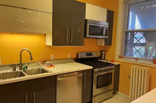 1024 E 52nd St, Chicago, IL 60615 - Photo 8