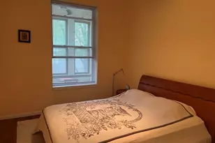 1024 E 52nd St, Chicago, IL 60615 - Photo 20