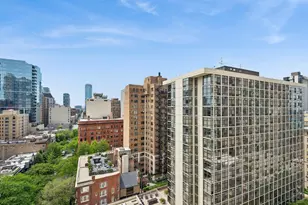 1200 N Lake Shore Dr, Chicago, IL 60610 - Photo 20