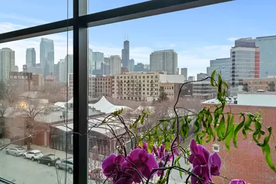 838 W Erie Street #3W, Chicago, IL 60642 - Photo 4