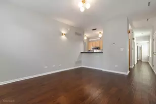 3761 S Lake Park Ave, Chicago, IL 60653 - Photo 38