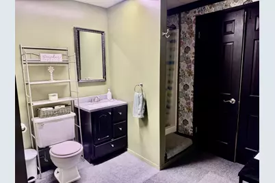 209 N Steele Street, Cherry, IL 61317 - Photo 22