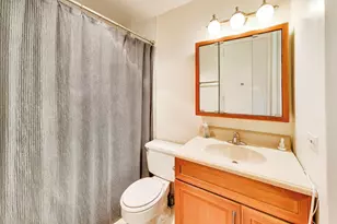 1 E Scott St, Chicago, IL 60610 - Photo 10
