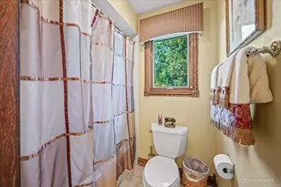 554 W Rosiland Dr N, Palatine, IL 60074 - Photo 42