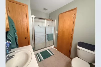 12 W Park Avenue, Cherry, IL 61317 - Photo 20