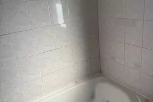 5038 N Mango Ave, Chicago, IL 60630 - Photo 14